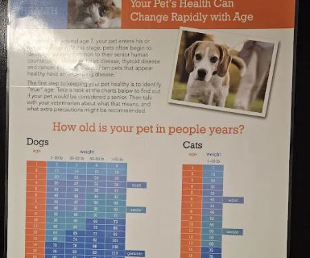 Gainesway Small Animal Clinic