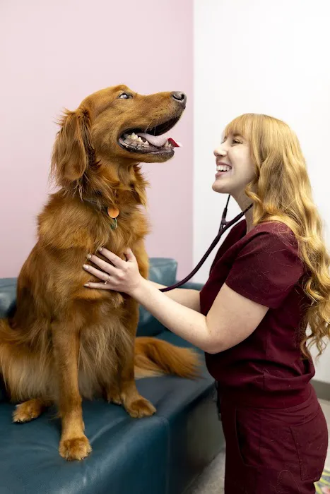 PetVet365 Pet Hospital Lexington/Richmond Rd Picture 3