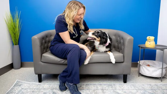 PetVet365 Pet Hospital Lexington/Richmond Rd Picture 1