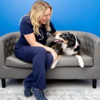 PetVet365 Pet Hospital Lexington/Richmond Rd ico