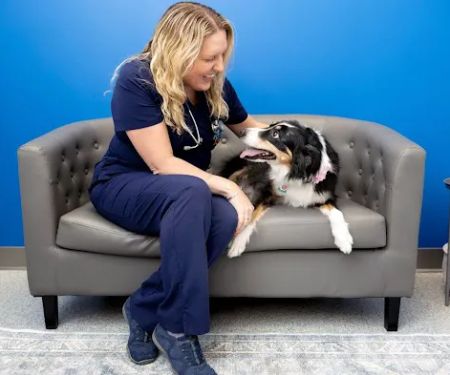 PetVet365 Pet Hospital Lexington/Richmond Rd