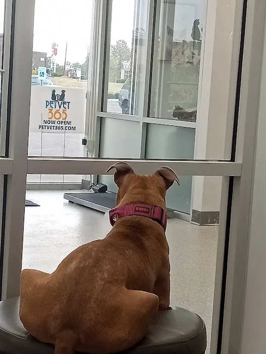 PetVet365 Pet Hospital Lexington/Richmond Rd Picture 9