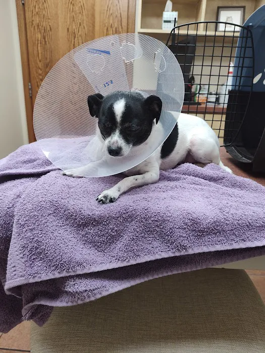 Grady Veterinary Hospital Picture 9