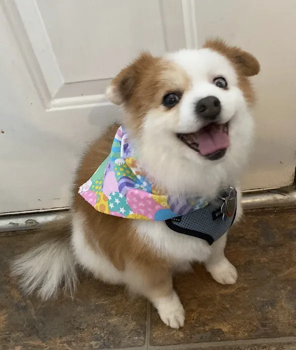 Grady Veterinary Hospital Picture 7