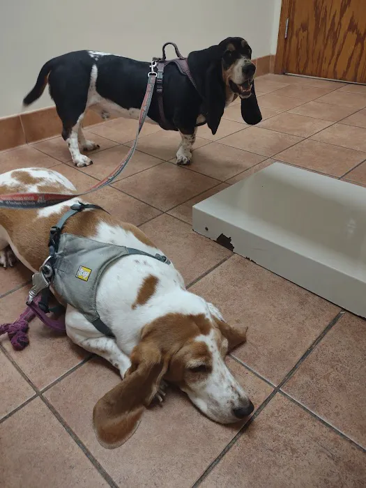 Grady Veterinary Hospital Picture 5
