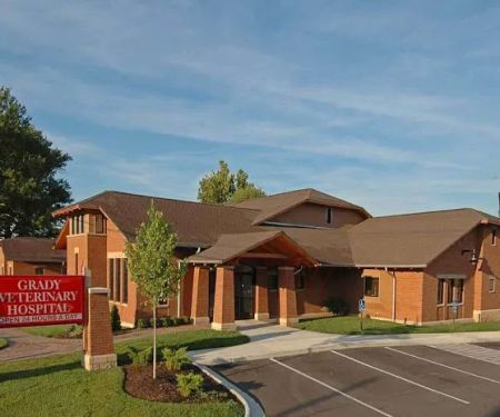 Grady Veterinary Hospital