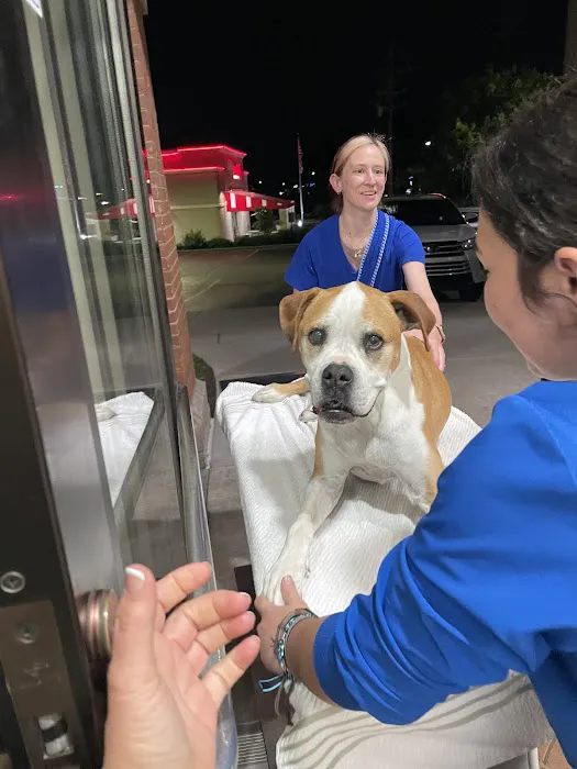 Grady Veterinary Hospital Picture 8