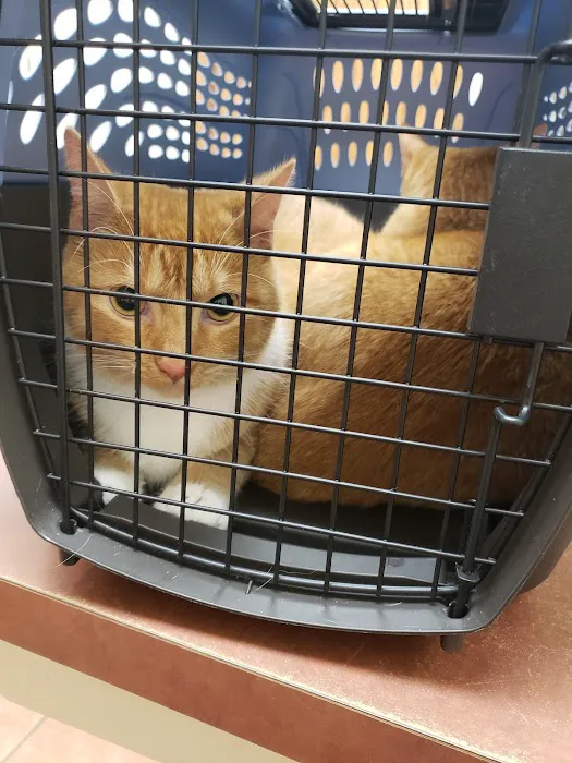 Grady Veterinary Hospital Picture 10