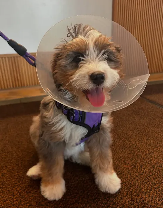 Wyoming Veterinary Clinic Picture 4