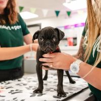 Wyoming Veterinary Clinic ico