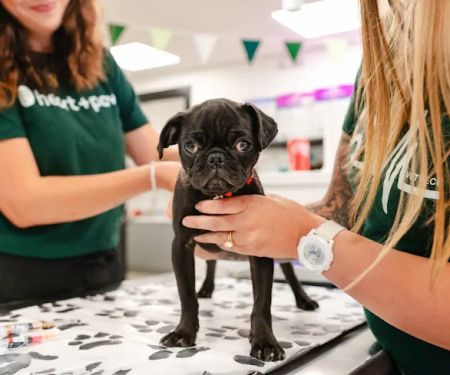 Wyoming Veterinary Clinic