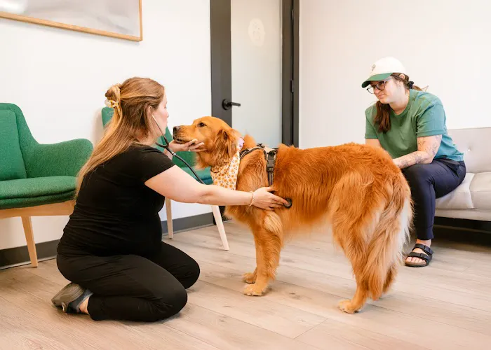 Wyoming Veterinary Clinic Picture 5
