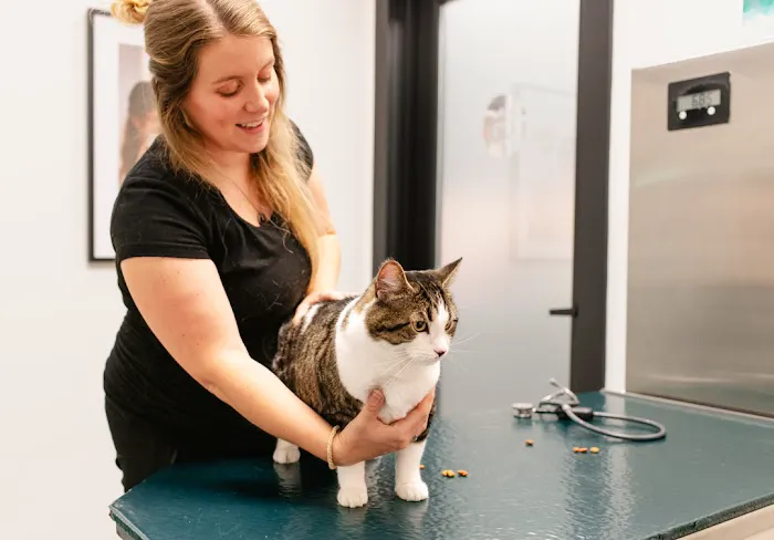 Wyoming Veterinary Clinic Picture 6