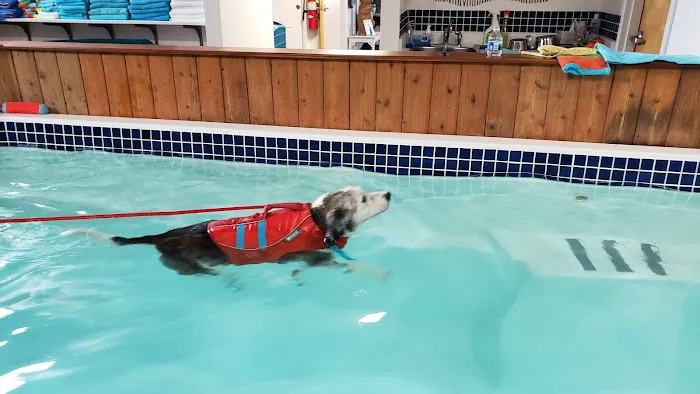 k9 Waves Picture 1