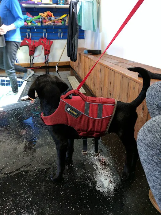 k9 Waves Picture 7