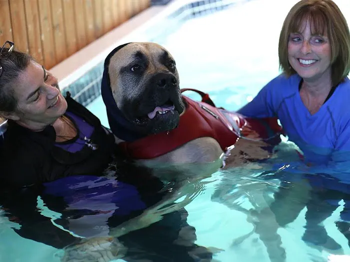 k9 Waves Picture 5