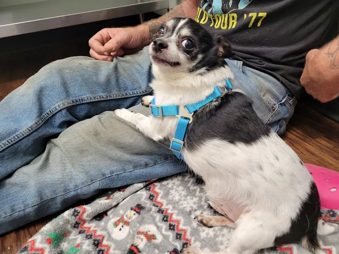 Pets In Need of Greater Cincinnati Picture 5