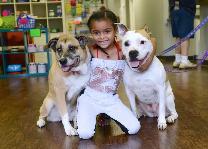 Pets In Need of Greater Cincinnati Picture 3