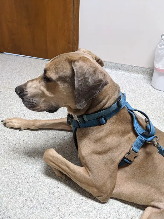Trenton Animal Hospital Picture 3