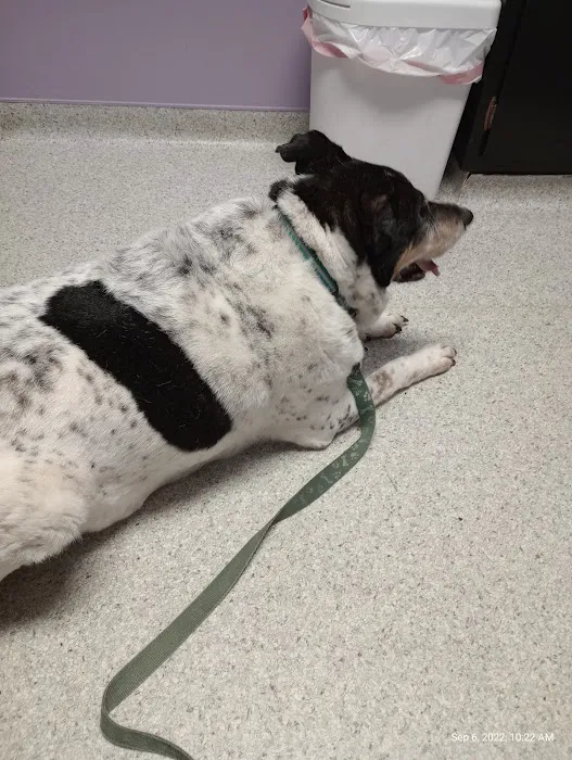 Trenton Animal Hospital Picture 7