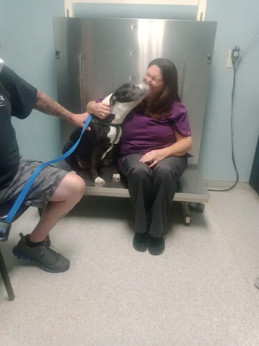 Trenton Animal Hospital Picture 8