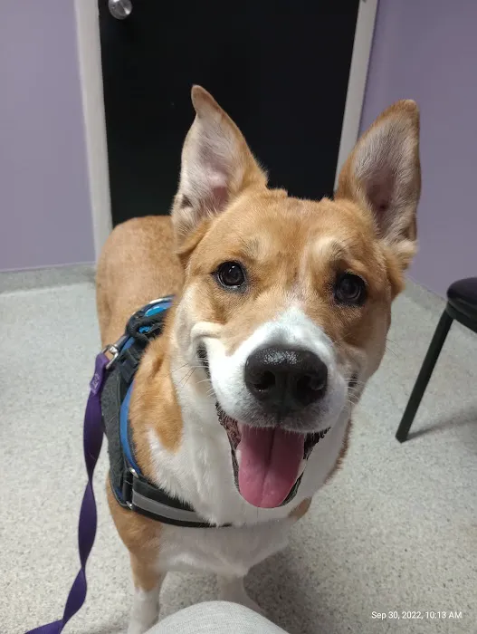 Trenton Animal Hospital Picture 2