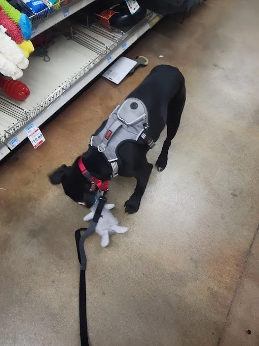 Petco Picture 9