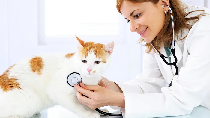 Monroe Family Pet Hospital Picture 1