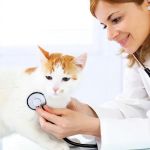 Monroe Family Pet Hospital