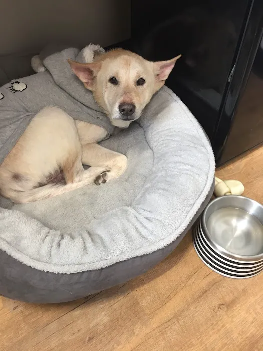 Monroe Family Pet Hospital Picture 2