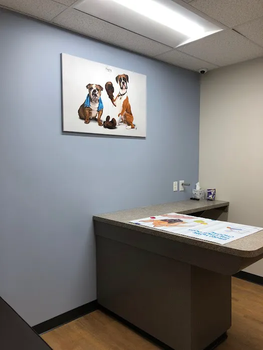 Monroe Family Pet Hospital Picture 6