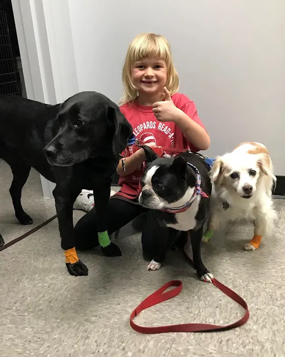 Independence Pet Hospital Picture 3