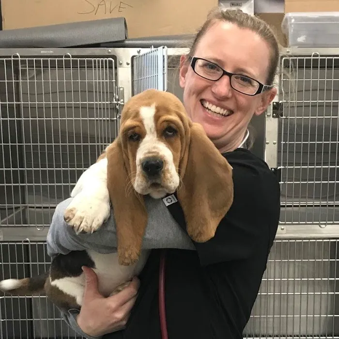 Independence Pet Hospital Picture 10