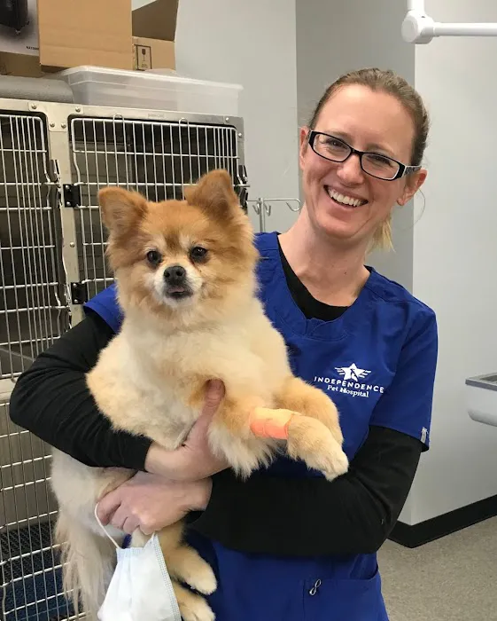 Independence Pet Hospital Picture 6