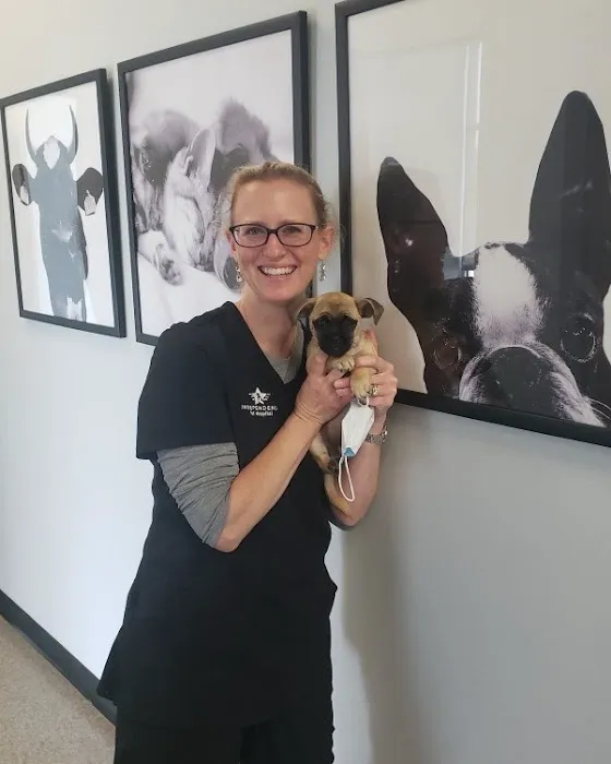 Independence Pet Hospital Picture 2