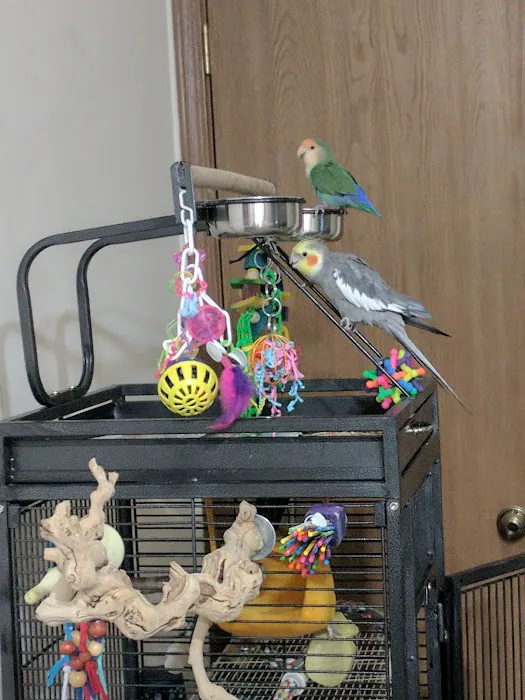 Pawsome Pet Supplies & Grooming Picture 4