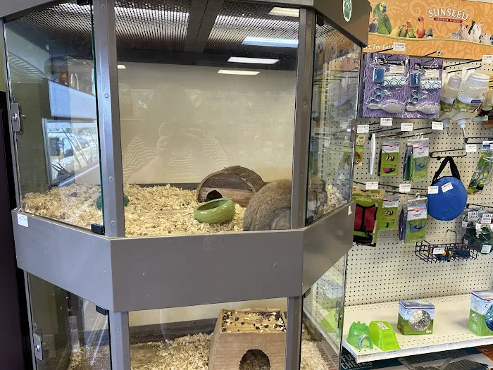Pawsome Pet Supplies & Grooming Picture 2