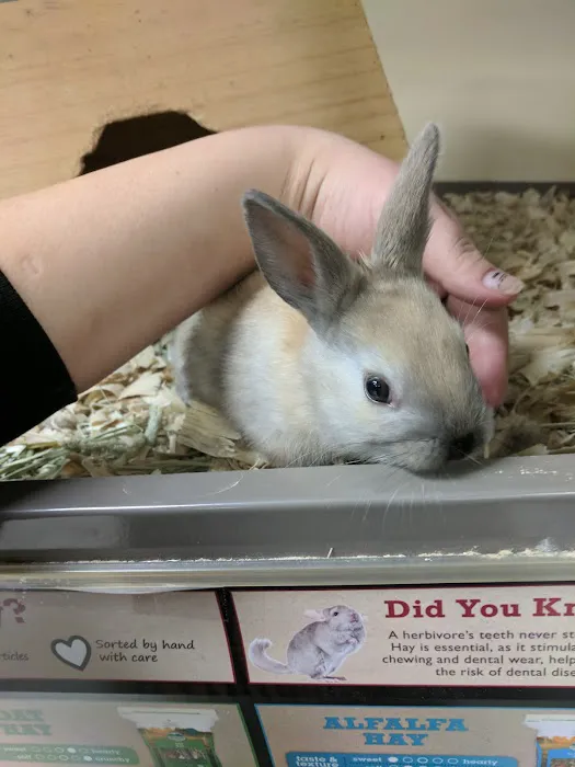 Pawsome Pet Supplies & Grooming Picture 1
