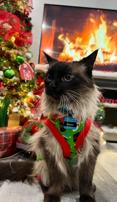 Twin Maples Veterinary Hospital Picture 4