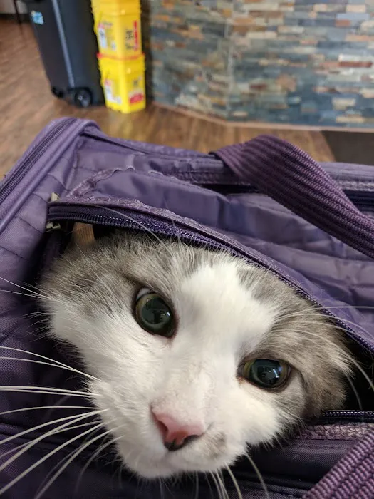 Printz Veterinary Services Picture 1