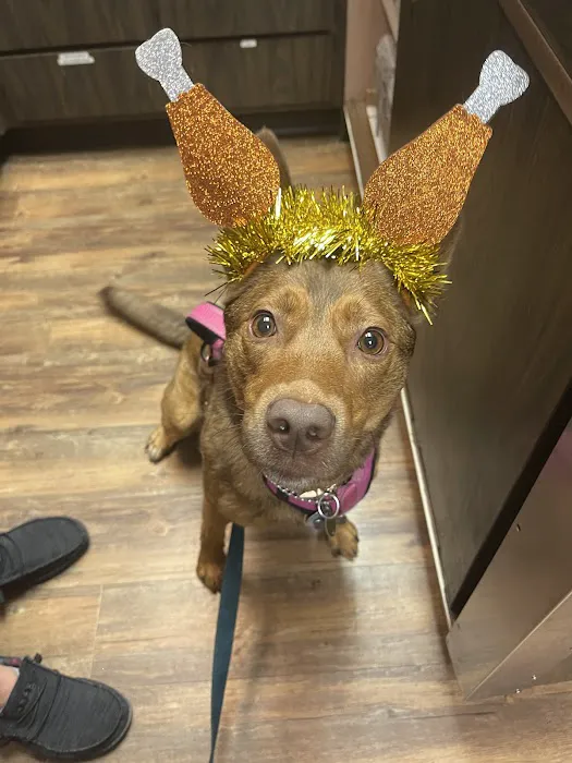 Printz Veterinary Services Picture 6