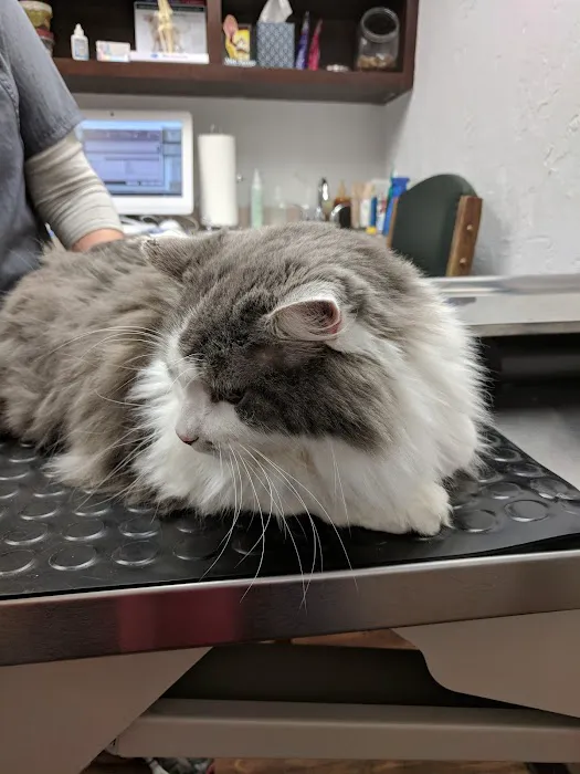 Printz Veterinary Services Picture 3