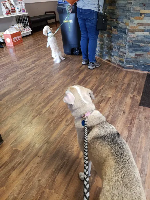 Printz Veterinary Services Picture 4