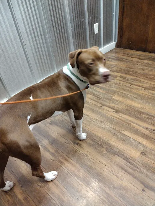 Printz Veterinary Services Picture 7