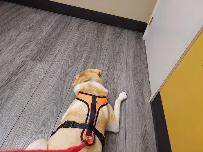 West Milton Veterinary Clinic Picture 7