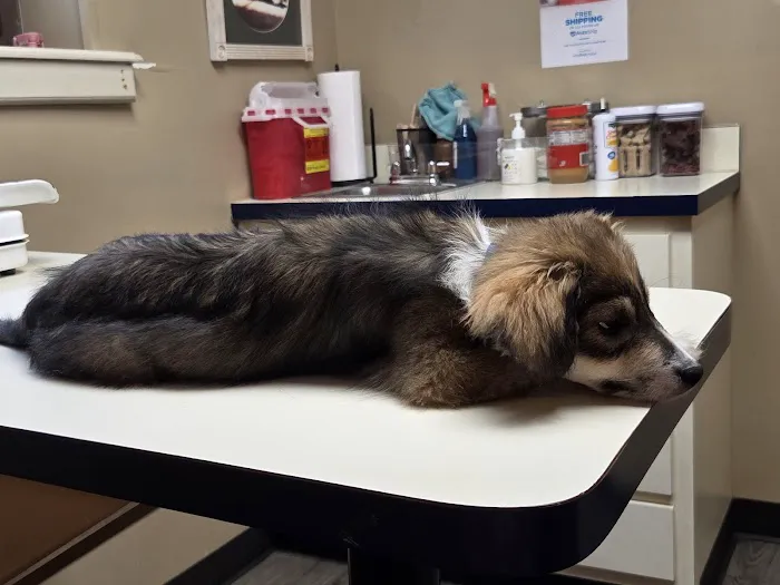 West Milton Veterinary Clinic Picture 6