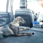 West Milton Veterinary Clinic