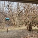 Northmont Animal Clinic