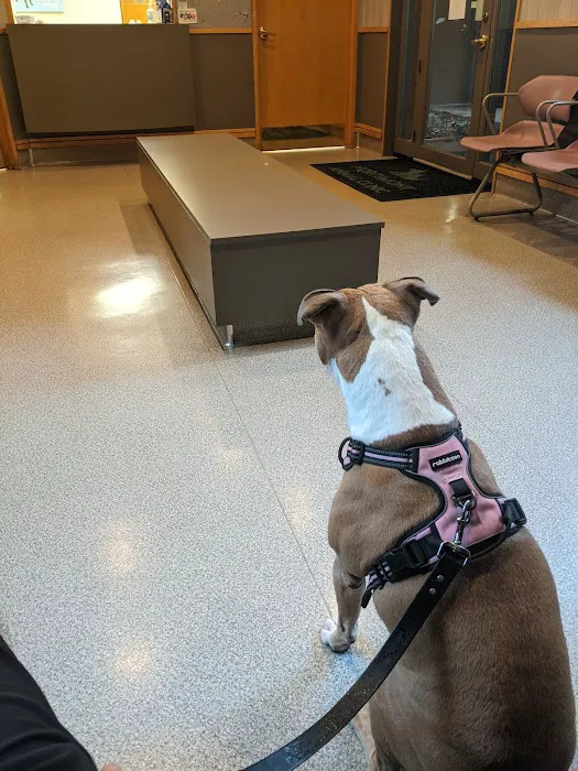 Northmont Animal Clinic Picture 9