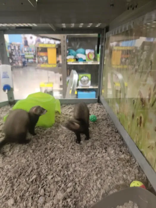 Petco Picture 10